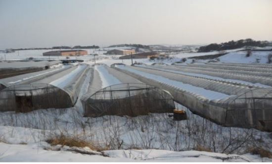 ߴ뺻,      뼳   140   