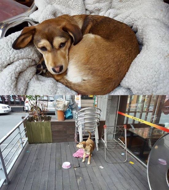   д밡 (?)    ȸǿ  ò  