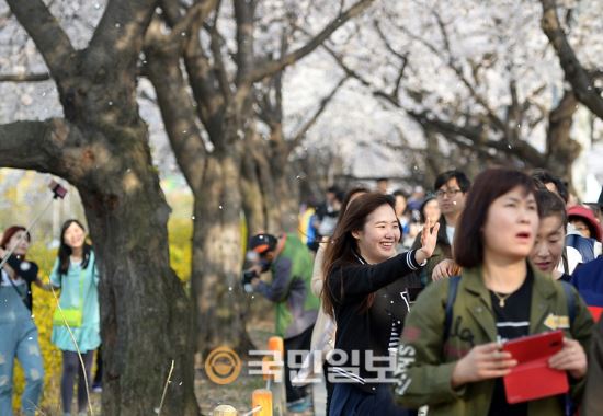 [포토]'가는 벚꽃이 아쉬워'  