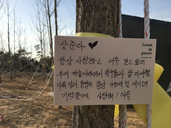 ‘세월호 기억의 숲’  전남 진도에 조성…9일 완공식  