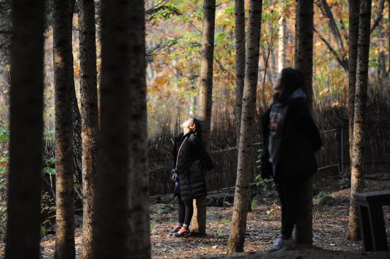 서울대공원 ‘치유의 숲’ 확대, 14일 오후 1시부터 예약 접수  
