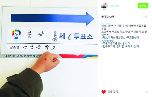 “투표합시다” SNS 열기… 네티즌 인증샷 올리며 독려  