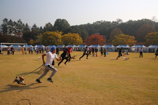 반려동물 인구 1000만 시대 맞아 23일 어울림한마당 축제  