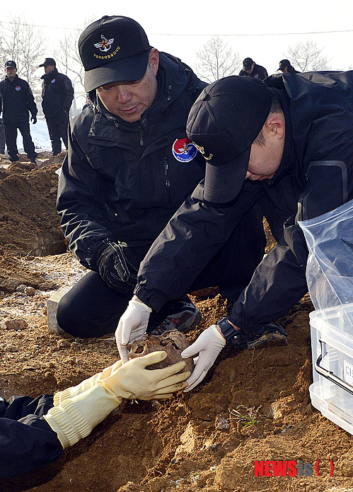 66⸸  ǰ,  ȣ    Ӻ Ϻ  