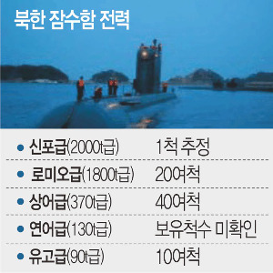 , SLBM ߻ ޺ ū   ɼ  