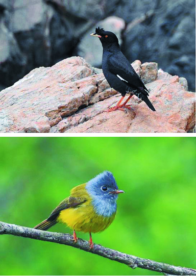 []  ? ĺȭ ? Ի 2 ؾȼ ߰  