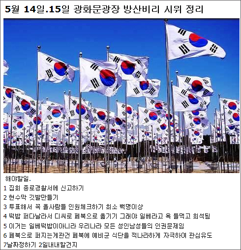 “자랑스런 예비군이고 싶다” 일베 시위 성공할까… 페북지기 초이스  