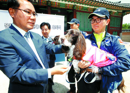 한평생 문화재 지킨 ‘흰개미 탐지견’ 은퇴  