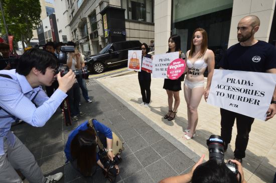 [포토]타조보호를 위해 반나체 시위 벌이는 동물단체 케어  