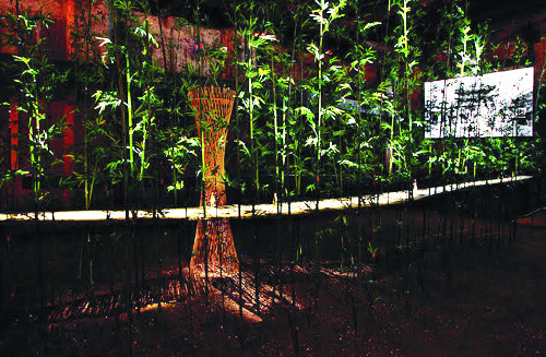 DMZ, 꿈의 정원을 걷다 기사의 사진
