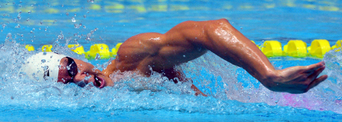 ȯ  ١ üȸ    ڽŰ ο   