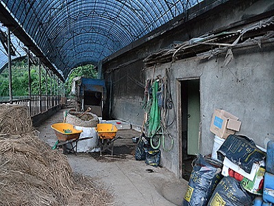 ' 뿹' û  CCTV ,  530 Ͼ ó   