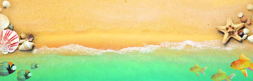 [ Ư] ǫǫ  ѿ ް硯   ?  