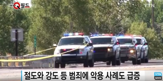 [포착] ‘포켓몬 go’가 뭐라고… 시민들 안전 위협 ‘심각’  