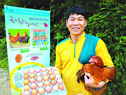   7 ڿ硦 ϴð  Ƽ?  