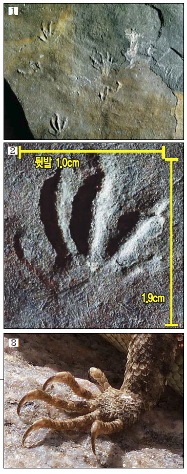 1  ѹݵ ƴٴ    