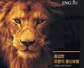 ING 밨  ź,  ǰ  ִ 25%   