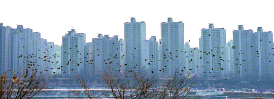ô㺸 ݸ 3% ¡ 1%P   Ѱ谡 8  