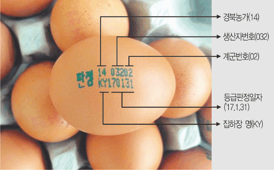  ǥõ ڡ  Ƽ?  