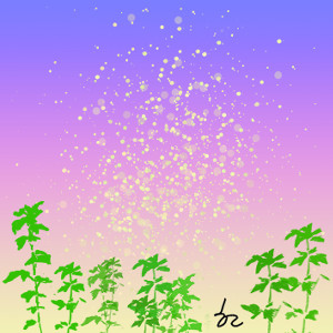 [ھ] Ϸ   