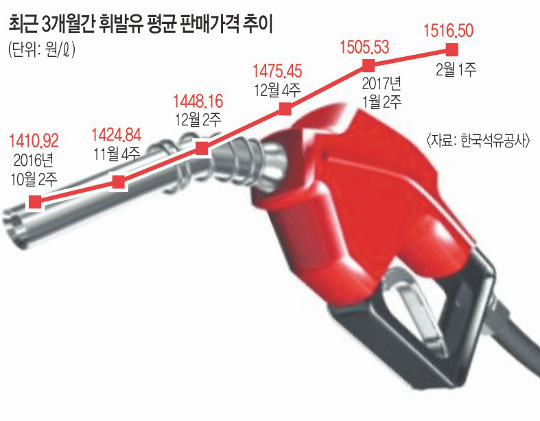 굵 ˶      