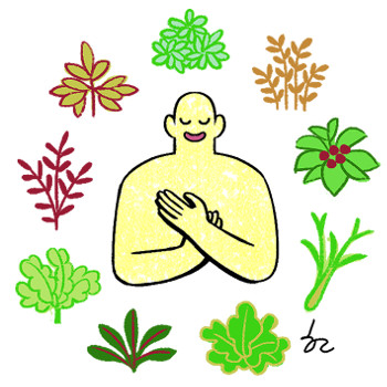[ھ] Ƹϴ  