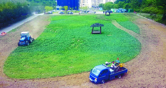 LMO 缺 ¹ä    