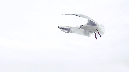 , ΰ  ȿ ϰ ⵵ âƴ١  