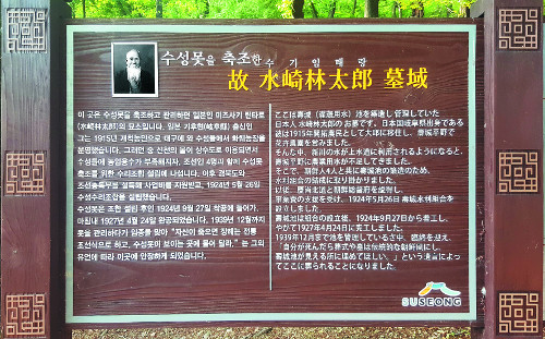 뱸 ǥ      