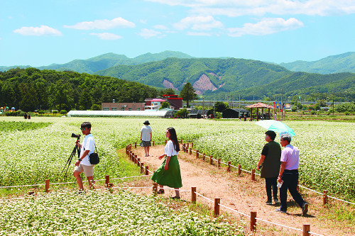 [] 巯  ޹в  