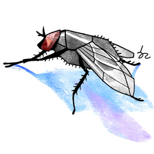 [ھ] ()  