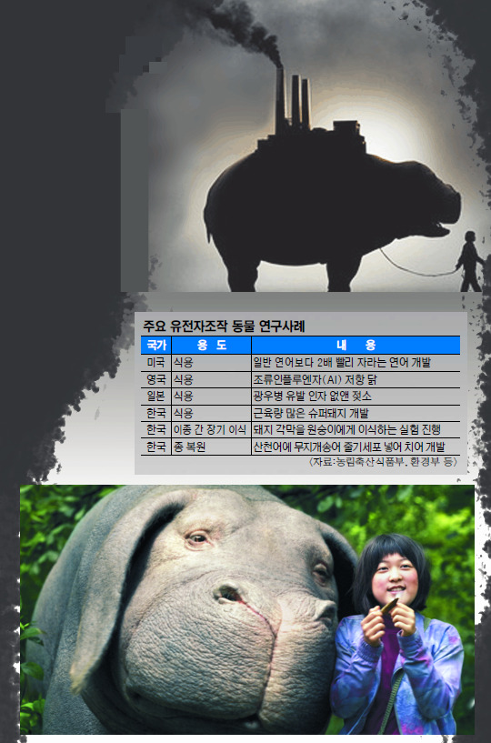 [And λ̵] ڰ 츮 Ź?    Գ  