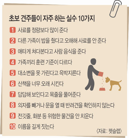 [  ϵ]  Դ  ָ   ̻     