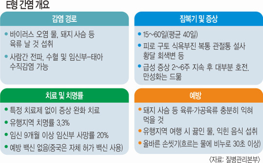 E 100 ɷ   밡    