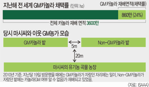 [ Ź,  밡] ٶ Ÿ ⡦ GMO   Ǹ ħ  