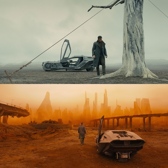 ̵  2049 ź 163,  ǰ []  