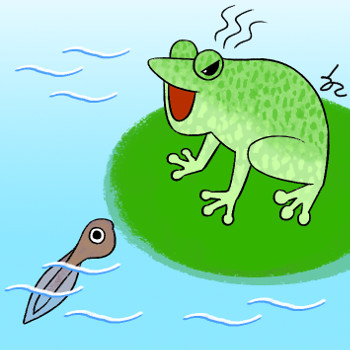 [ھ]  ì  