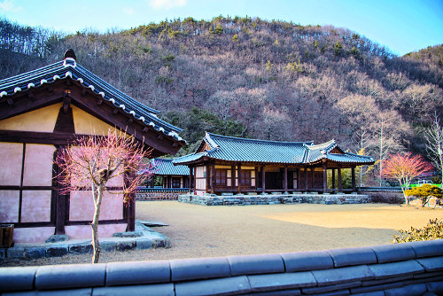 泲 Ƿ, 鸶 ź ȫ屺   帥  