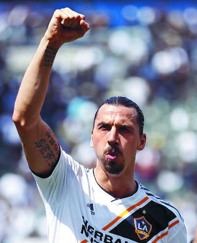 19̸ ء ź, MLS  Ƽ  