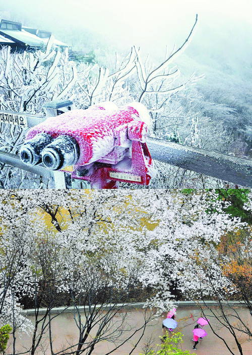 [] 4  󱼡 Ѱɿ  ÿ   