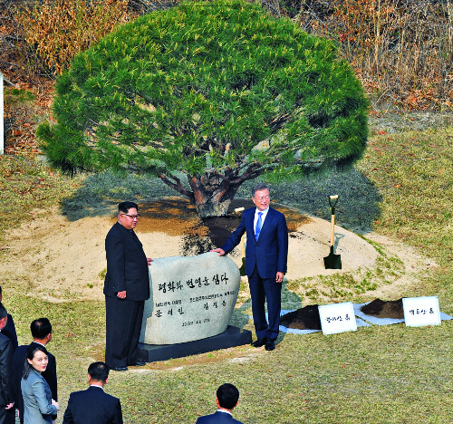 а輱 Ρ  Դ  