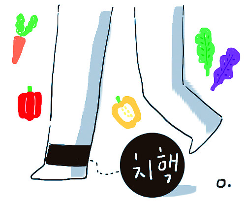 [ｺ] ׹ȯ ġ   