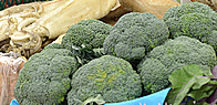 ݸ, ġ   ܹ   