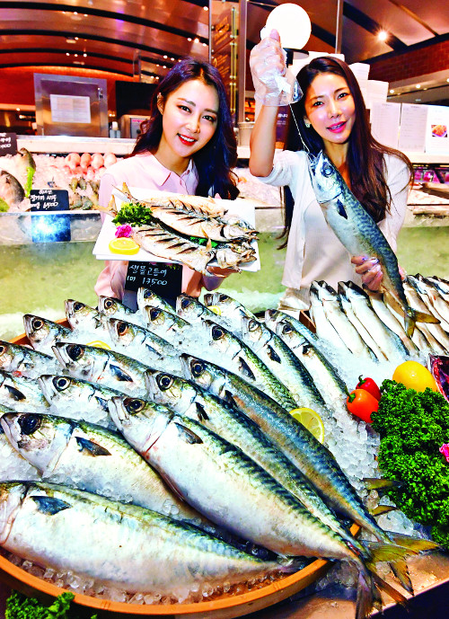[] 13500¥ ݰ  
