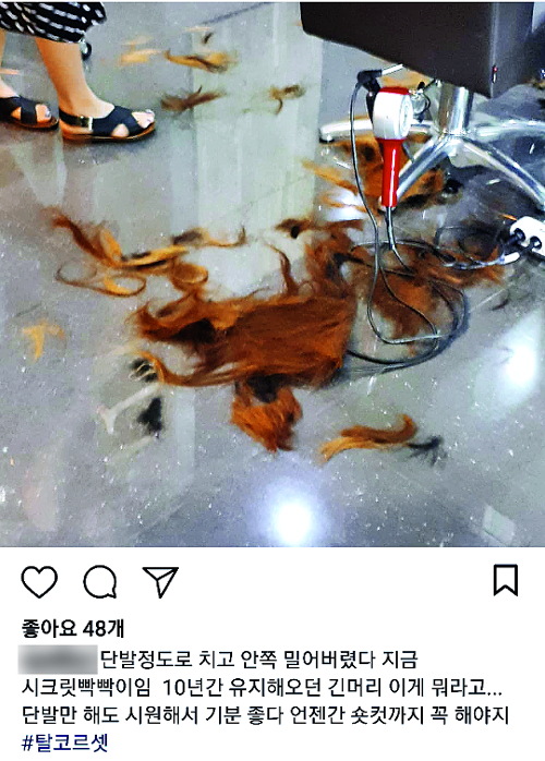  Ӹ ,   Ȱ桦 ٹ 뵿 ع  