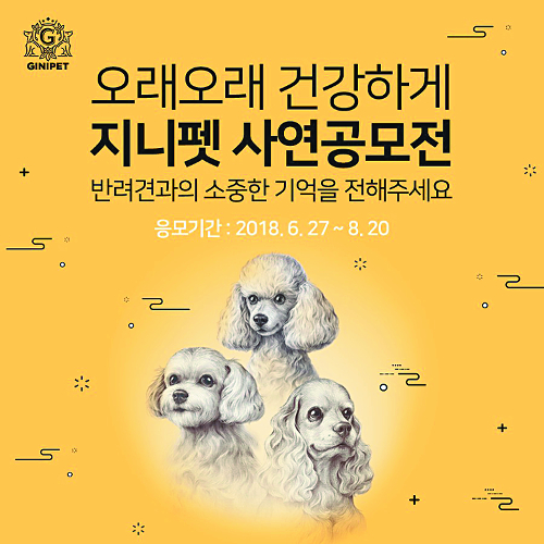 KGC, ݷ   ù ȫ 鿪    