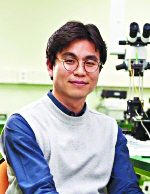  롤 ʰ  ǽð Կ    