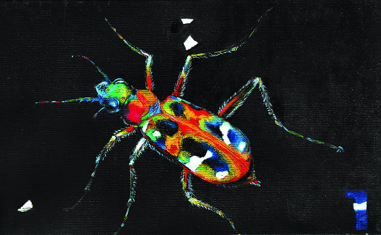 [å ]  ٰ ̰  ȳϴ  
