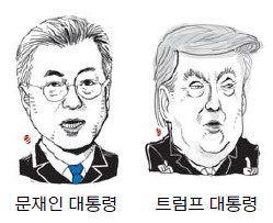 Ʈ Ưܡ ȸ   롱  