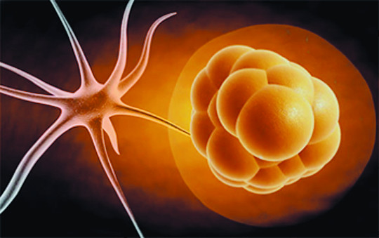 [â ڻ ٵ ̺]  پ ǻ 츮  ȿ ִ ٱ⼼  